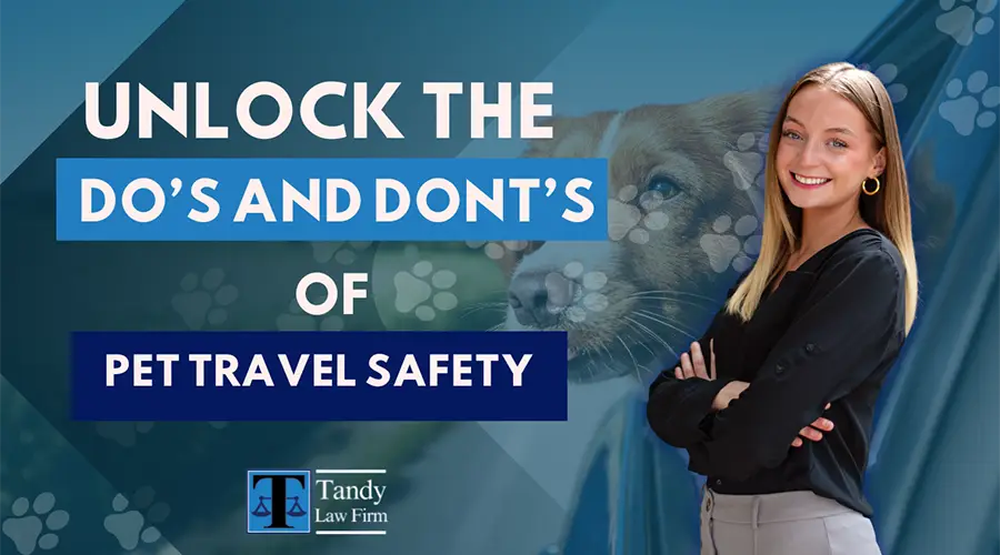 Paws and Precautions: The Ultimate Guide to Pet Travel Safety Do's and Don'ts